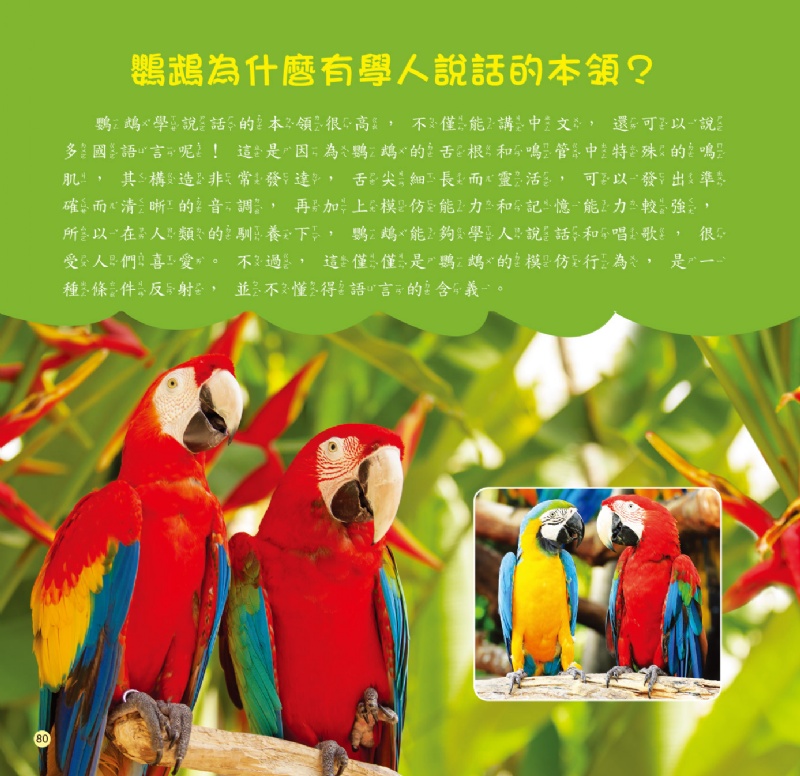 十萬個為什麼：解謎！動物奇妙行為